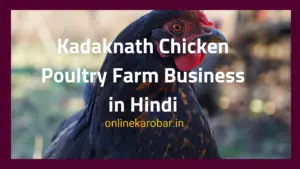 kadaknath chicken poultry farm business plan