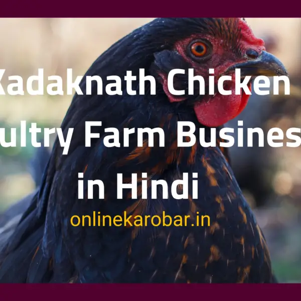 Kadaknath Chicken Poultry Farm Business in Hindi (2022)