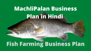 machlipalan business plan in hindi